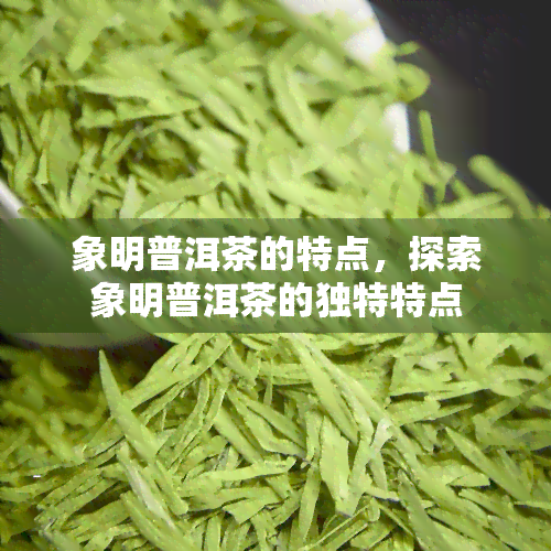 象明普洱茶的特点，探索象明普洱茶的独特特点