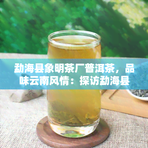 勐海县象明茶厂普洱茶，品味云南风情：探访勐海县象明茶厂，感受普洱茶的魅力