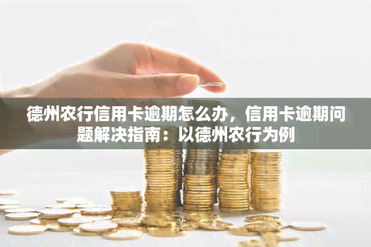 德州农行信用卡逾期怎么办，信用卡逾期问题解决指南：以德州农行为例