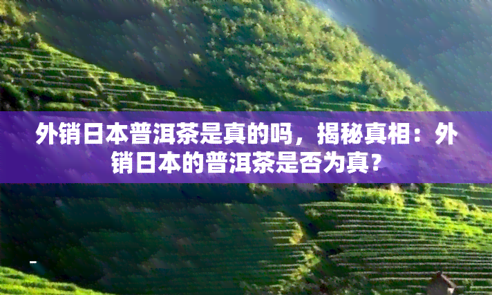 外销普洱茶是真的吗，揭秘真相：外销的普洱茶是否为真？