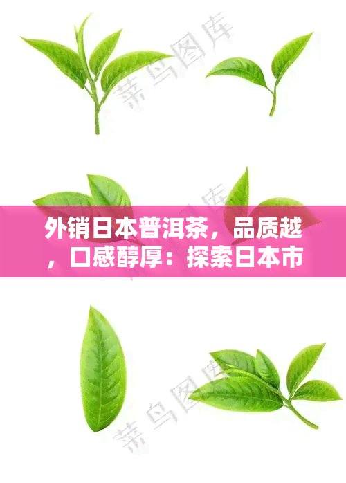 外销普洱茶，品质越，口感醇厚：探索市场更受欢迎的普洱茶