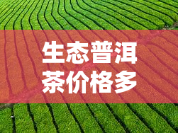 生态普洱茶价格多少，探究生态普洱茶的价格：一份详尽的市场分析