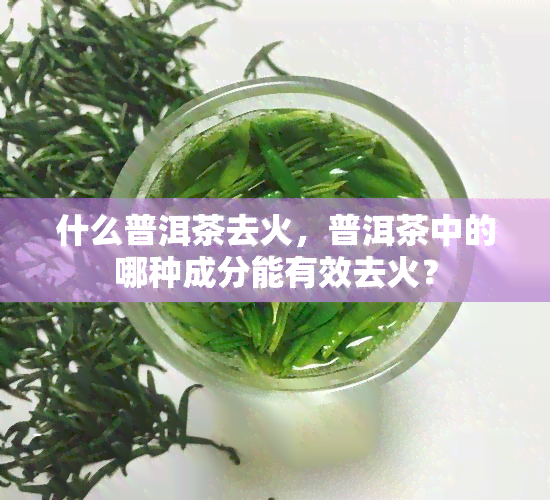 什么普洱茶去火，普洱茶中的哪种成分能有效去火？