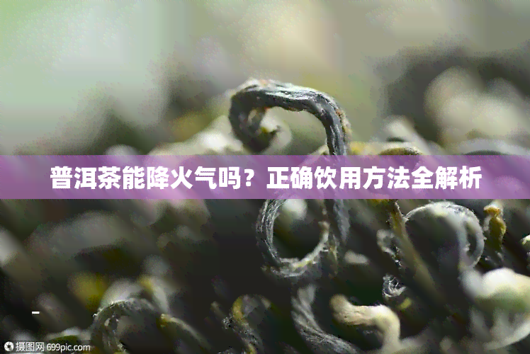 普洱茶能降火气吗？正确饮用方法全解析