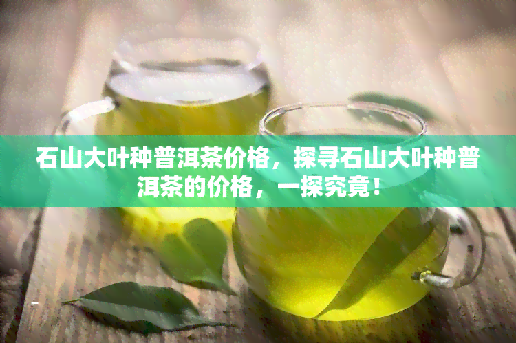 石山大叶种普洱茶价格，探寻石山大叶种普洱茶的价格，一探究竟！