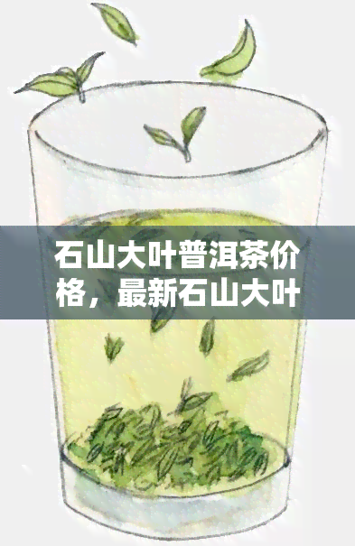 石山大叶普洱茶价格，最新石山大叶普洱茶价格行情，一网打尽！