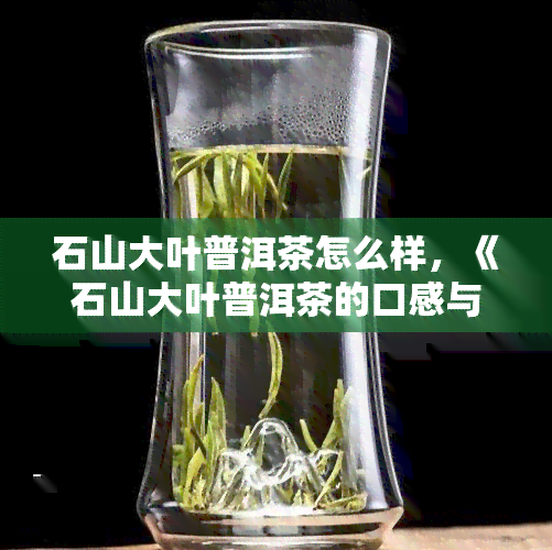 石山大叶普洱茶怎么样，《石山大叶普洱茶的口感与功效，你值得拥有！》