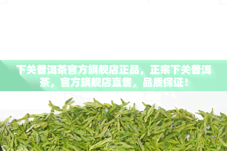 下关普洱茶官方旗舰店正品，正宗下关普洱茶，官方旗舰店直售，品质保证！