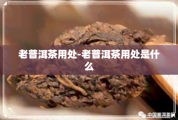 老普洱茶用处-老普洱茶用处是什么