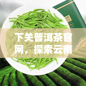 下关普洱茶官网，探索云南普洱茶的魅力：下关普洱茶官网上线！