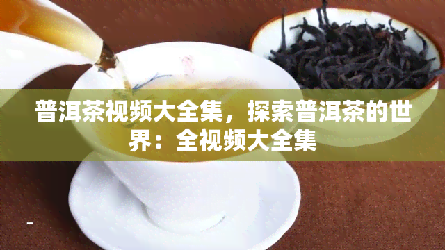 普洱茶视频大全集，探索普洱茶的世界：全视频大全集