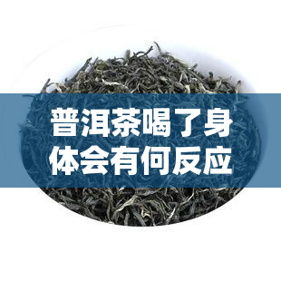 普洱茶喝了身体会有何反应？详解其可能的影响与好处