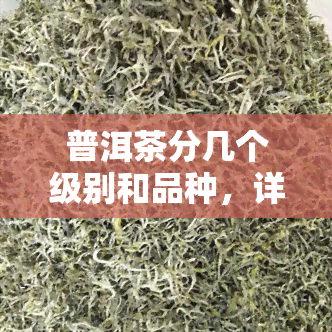 普洱茶分几个级别和品种，详解：普洱茶的级别与品种划分