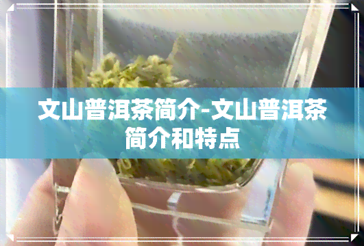 文山普洱茶简介-文山普洱茶简介和特点