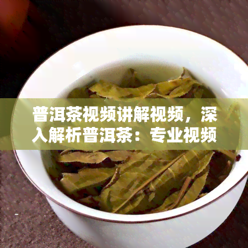 普洱茶视频讲解视频，深入解析普洱茶：专业视频讲解