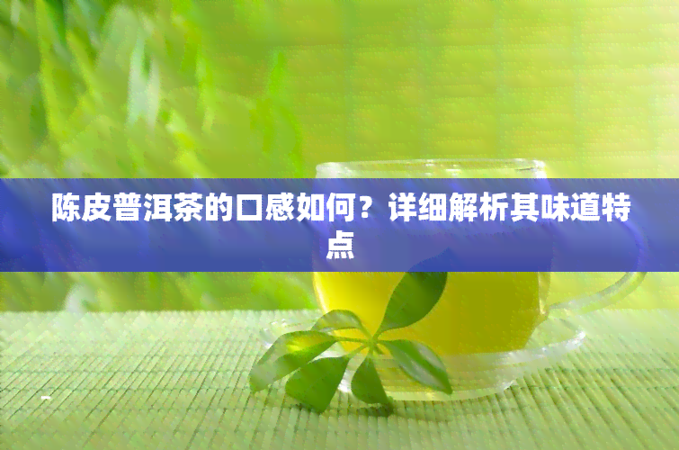 陈皮普洱茶的口感如何？详细解析其味道特点