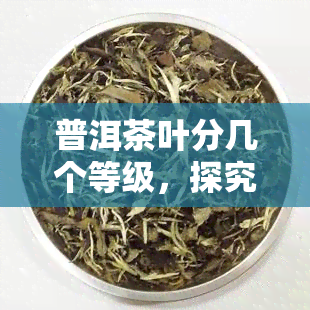 普洱茶叶分几个等级，探究普洱茶叶的等级分类，你了解多少？