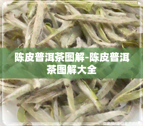 陈皮普洱茶图解-陈皮普洱茶图解大全