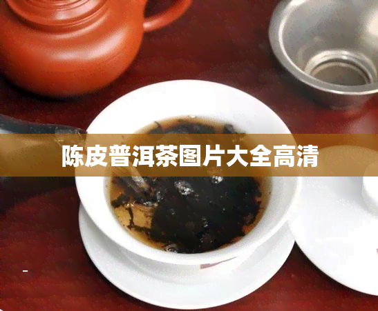 陈皮普洱茶图片大全高清