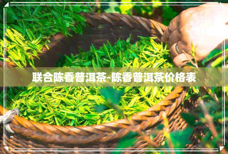 联合陈香普洱茶-陈香普洱茶价格表