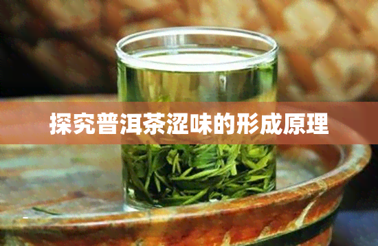 探究普洱茶涩味的形成原理