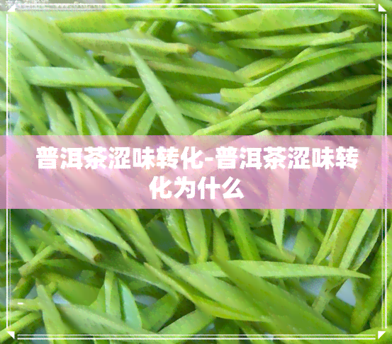 普洱茶涩味转化-普洱茶涩味转化为什么