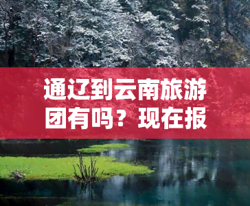 通辽到云南旅游团有吗？现在报价及行程安排