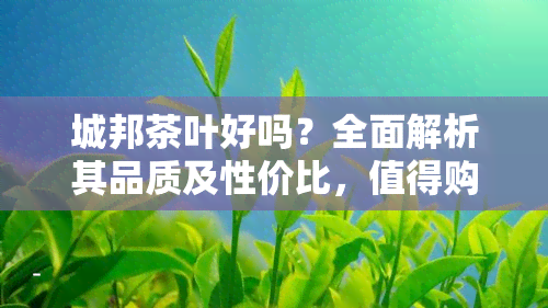 城邦茶叶好吗？全面解析其品质及性价比，值得购买吗？普洱茶表现如何？