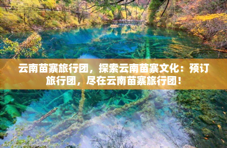 云南苗寨旅行团，探索云南苗寨文化：预订旅行团，尽在云南苗寨旅行团！