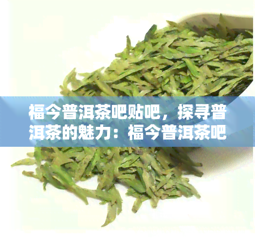 福今普洱茶吧贴吧，探寻普洱茶的魅力：福今普洱茶吧贴吧探讨