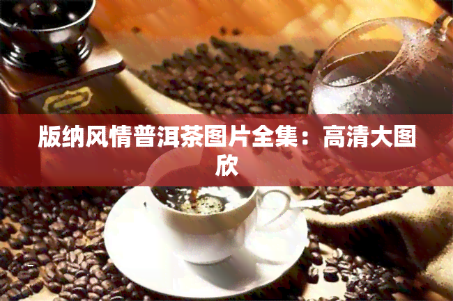 版纳风情普洱茶图片全集：高清大图欣