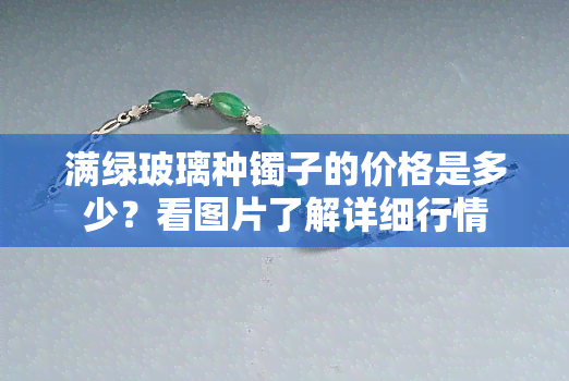 满绿玻璃种镯子的价格是多少？看图片了解详细行情