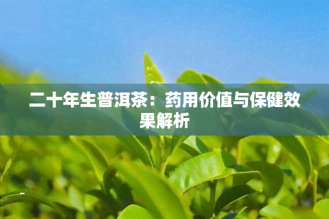 二十年生普洱茶：药用价值与保健效果解析