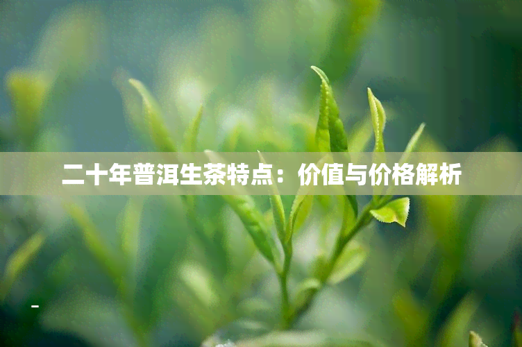 二十年普洱生茶特点：价值与价格解析