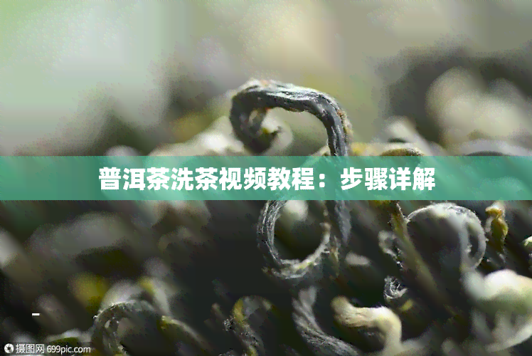 普洱茶洗茶视频教程：步骤详解