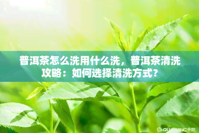 普洱茶怎么洗用什么洗，普洱茶清洗攻略：如何选择清洗方式？