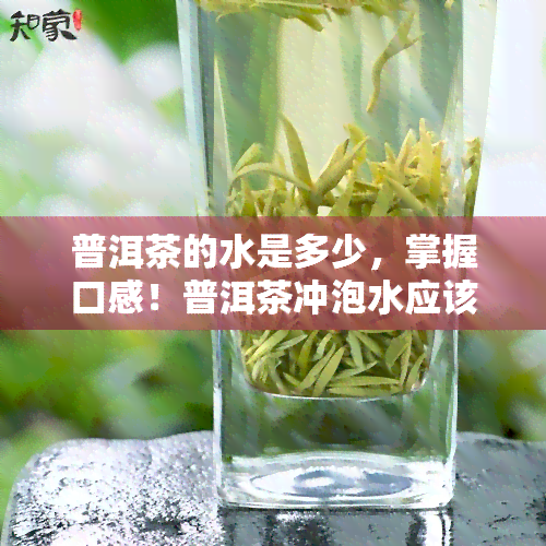 普洱茶的水是多少，掌握口感！普洱茶冲泡水应该是多少？