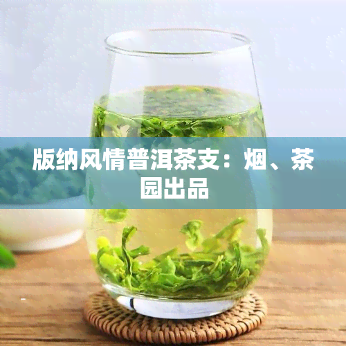 版纳风情普洱茶支：烟、茶园出品