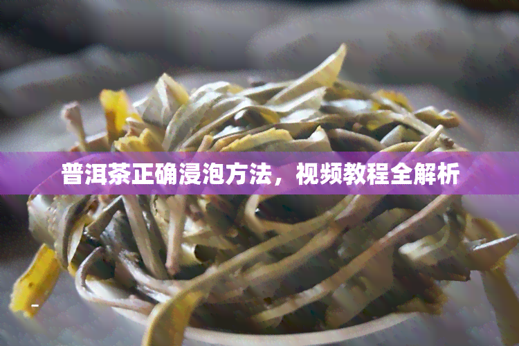 普洱茶正确浸泡方法，视频教程全解析