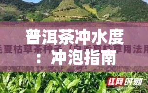 普洱茶冲水度：冲泡指南