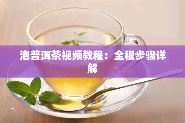 泡普洱茶视频教程：全程步骤详解