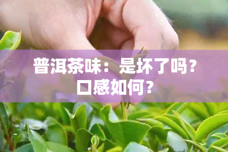 普洱茶味：是坏了吗？口感如何？