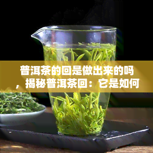 普洱茶的回是做出来的吗，揭秘普洱茶回：它是如何“做”出来的？