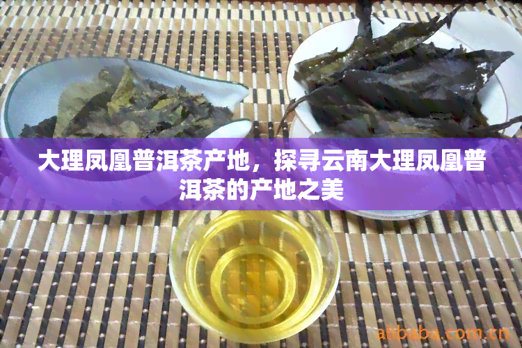 大理凤凰普洱茶产地，探寻云南大理凤凰普洱茶的产地之美