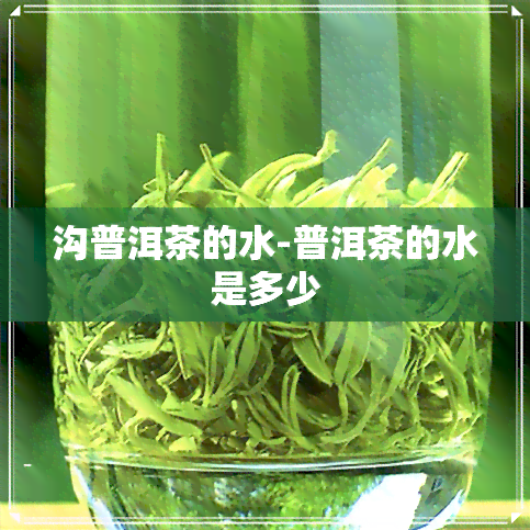 沟普洱茶的水-普洱茶的水是多少