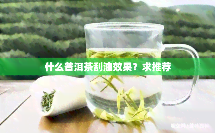 什么普洱茶刮油效果？求推荐