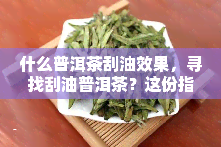 什么普洱茶刮油效果，寻找刮油普洱茶？这份指南帮你选！