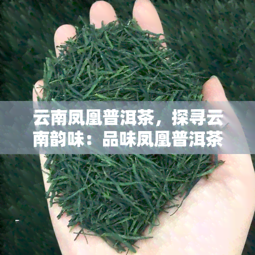 云南凤凰普洱茶，探寻云南韵味：品味凤凰普洱茶的独特魅力