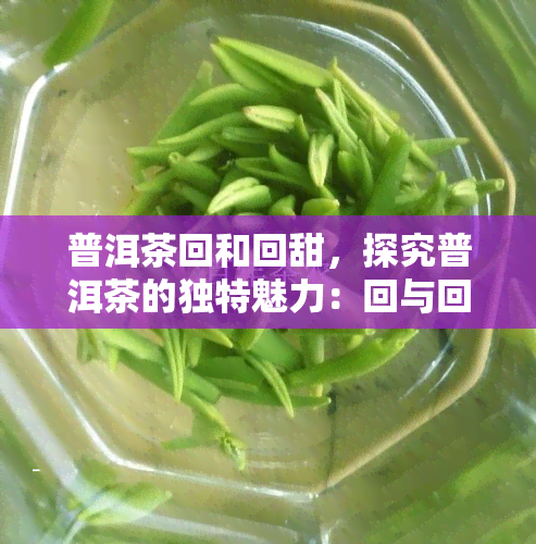 普洱茶回和回甜，探究普洱茶的独特魅力：回与回甜的滋味之旅