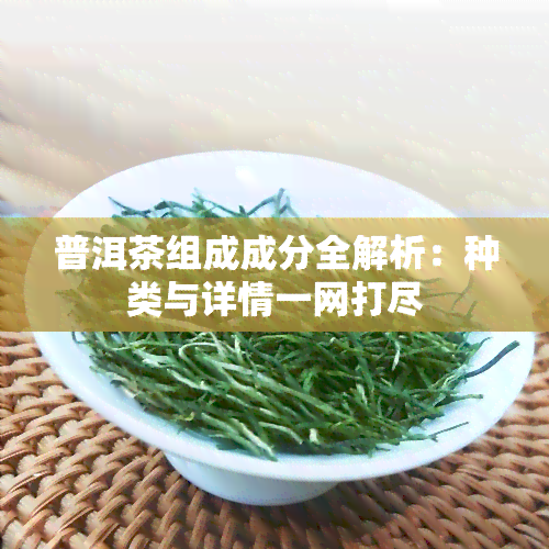 普洱茶组成成分全解析：种类与详情一网打尽